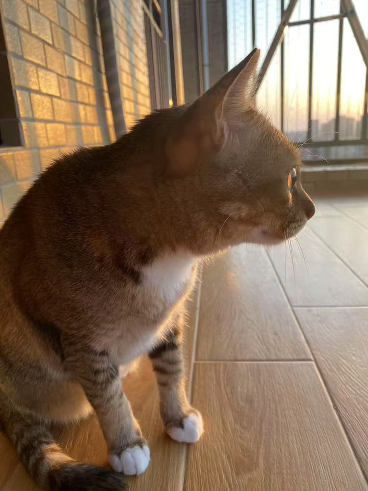 Where the Sun Pauses and So Do I