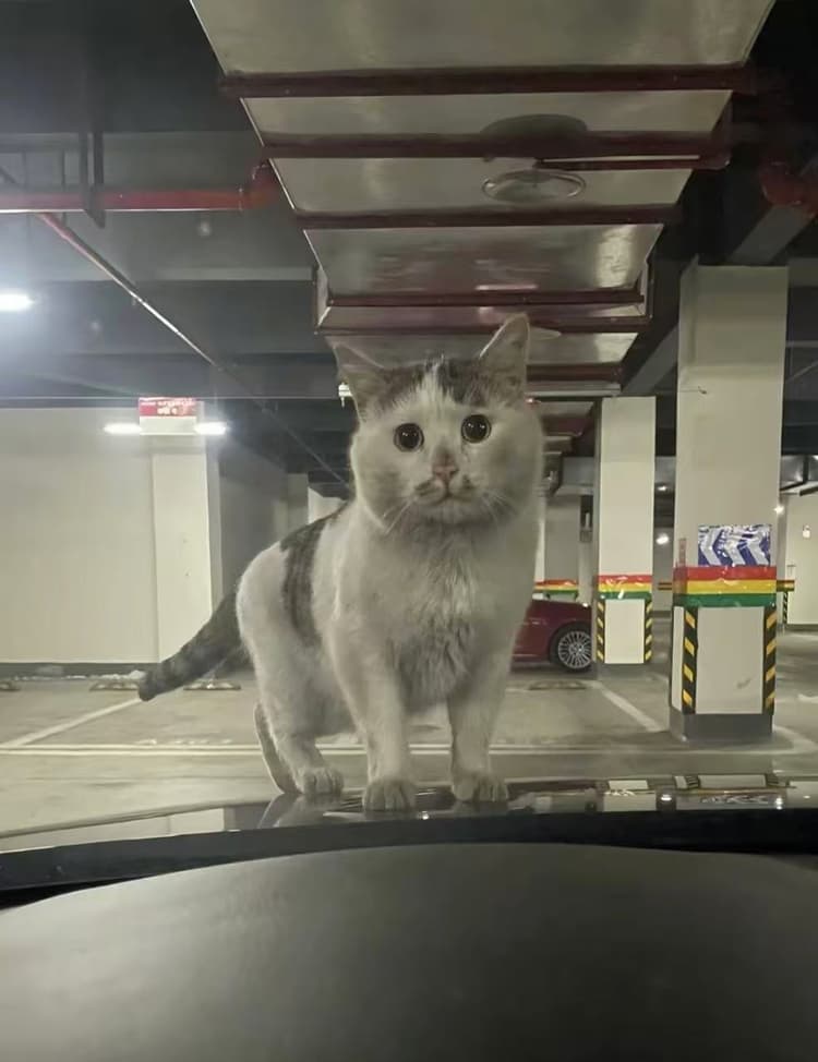 Between the Glass and the Warmth